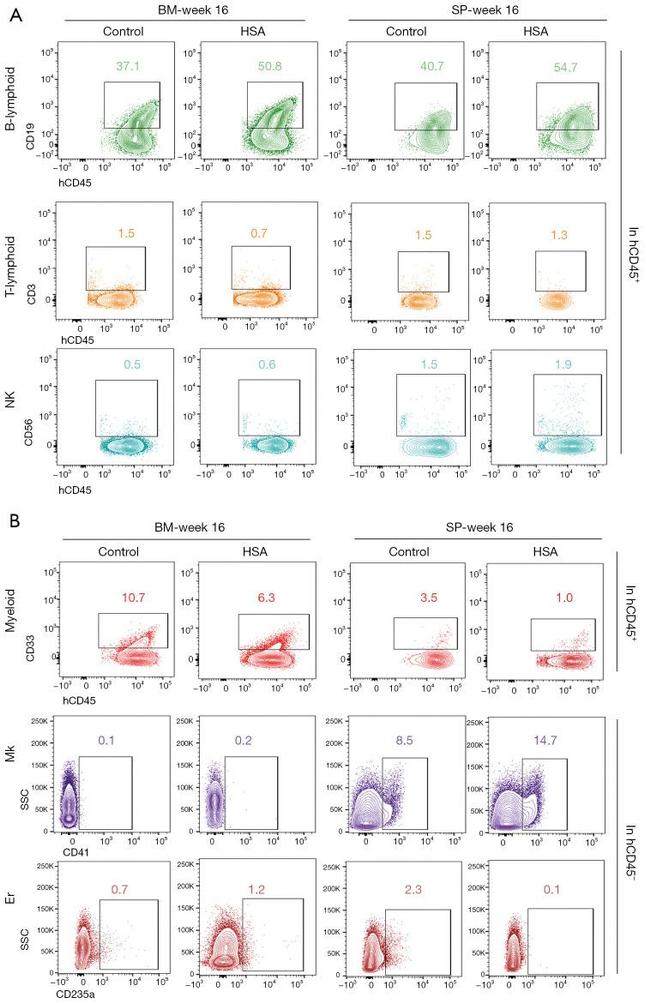 CD33 Antibody in Flow Cytometry (Flow)