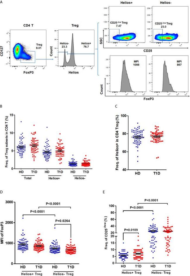 HELIOS Antibody in Flow Cytometry (Flow)