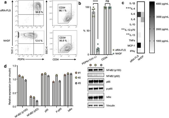 CD34 Antibody in Flow Cytometry (Flow)