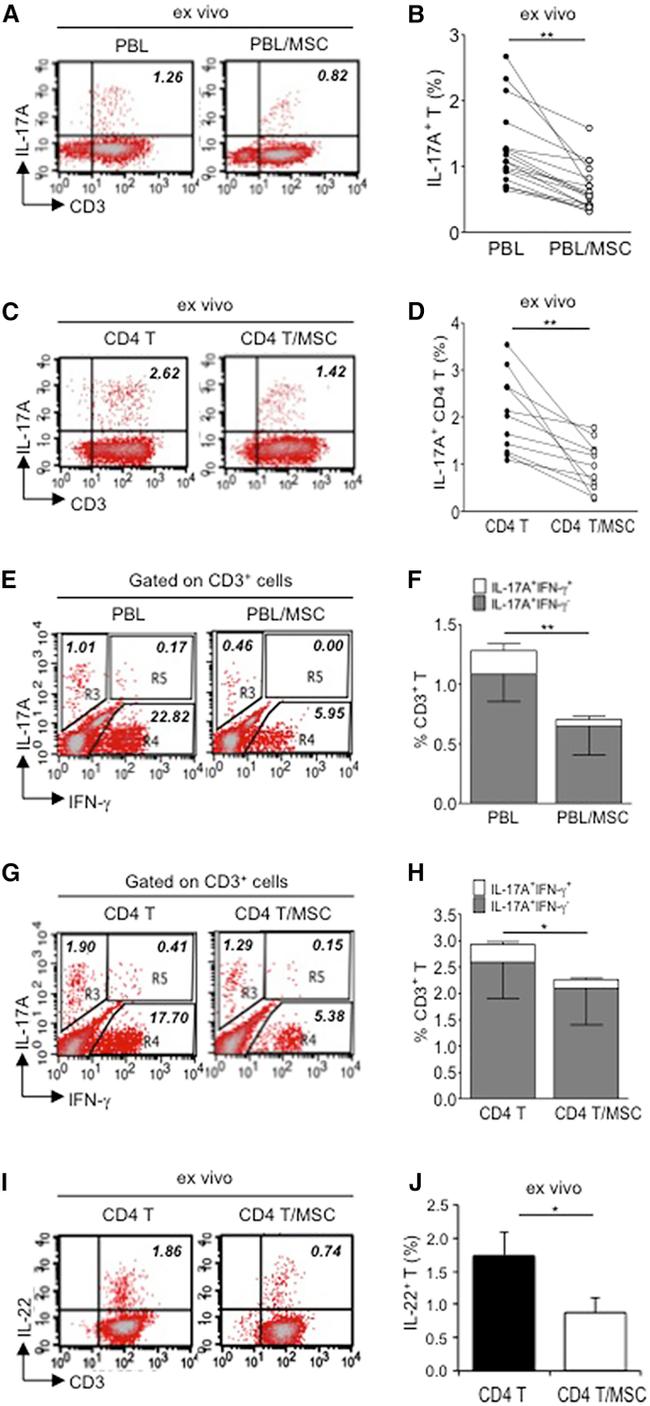 IL-17A Antibody in Flow Cytometry (Flow)