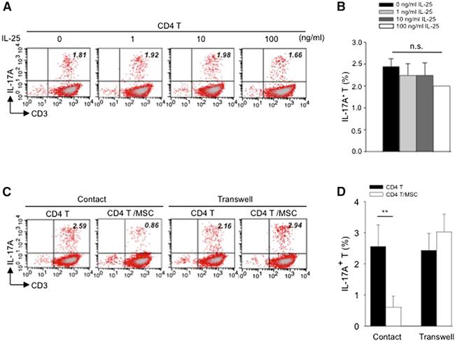 CD3e Antibody in Flow Cytometry (Flow)