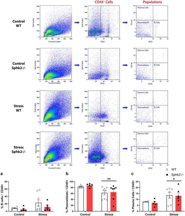 CD45R (B220) Antibody in Flow Cytometry (Flow)