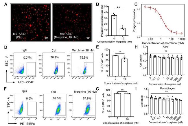 CD47 Antibody in Flow Cytometry (Flow)