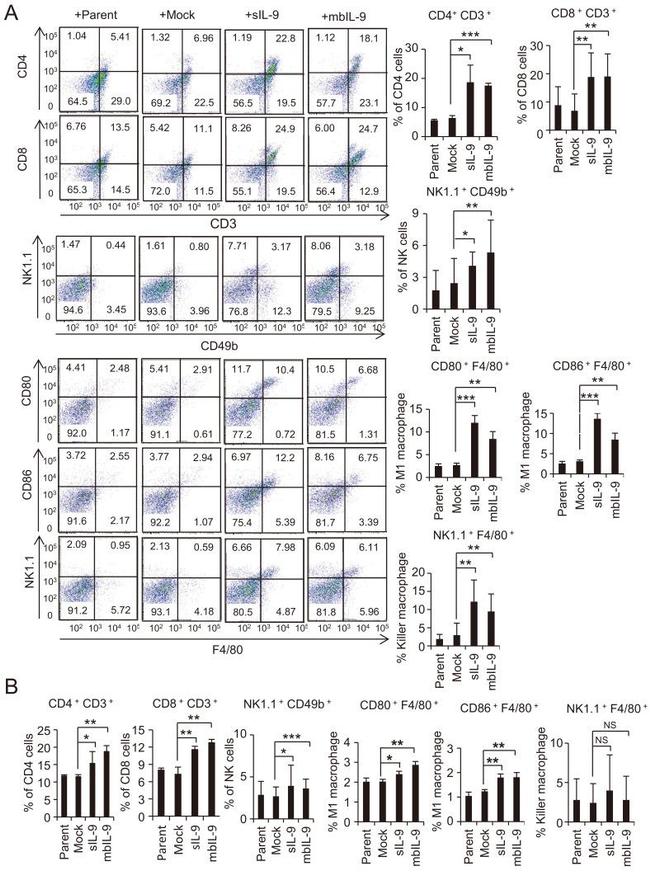 CD80 (B7-1) Antibody in Flow Cytometry (Flow)