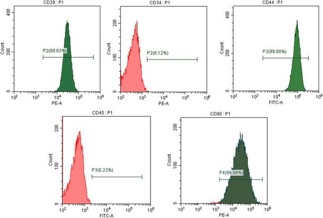 CD90.1 (Thy-1.1) Antibody in Flow Cytometry (Flow)