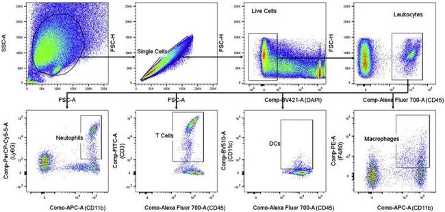 Ly-6G/Ly-6C Antibody in Flow Cytometry (Flow)