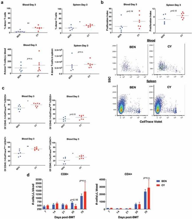 CD134 (OX40) Antibody in Flow Cytometry (Flow)