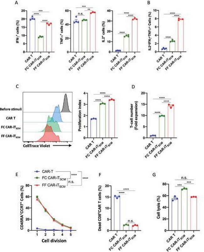 TNF alpha Antibody in Flow Cytometry (Flow)