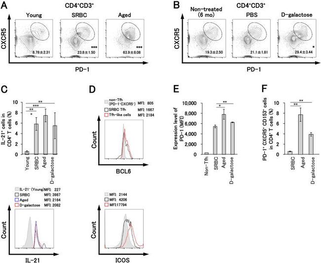 IL-21 Antibody in Flow Cytometry (Flow)