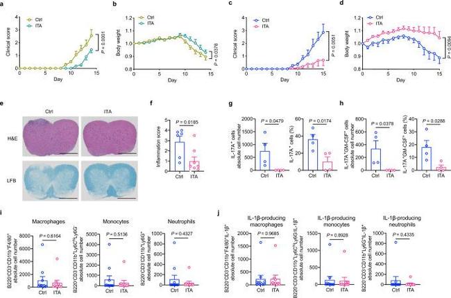 GM-CSF Antibody in Flow Cytometry (Flow)