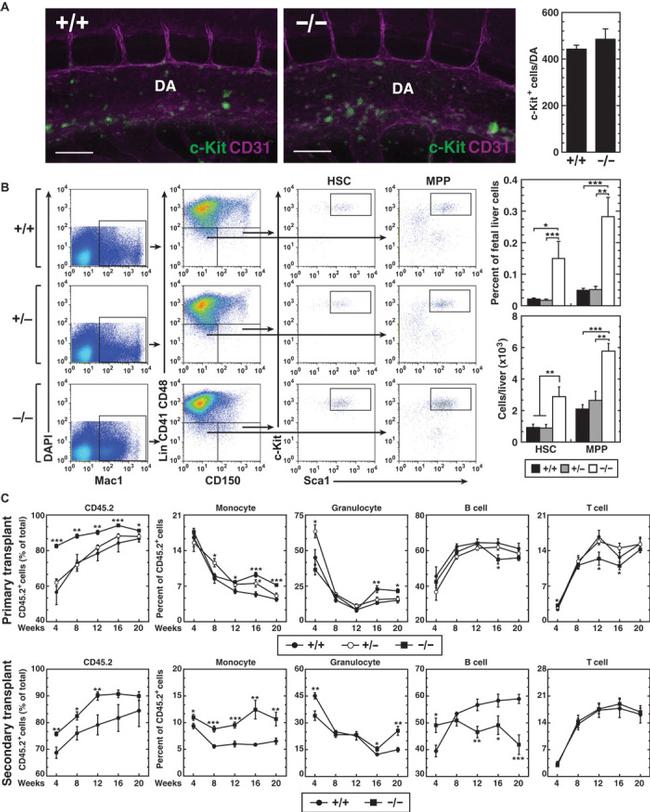 CD117 (c-Kit) Antibody in Flow Cytometry (Flow)