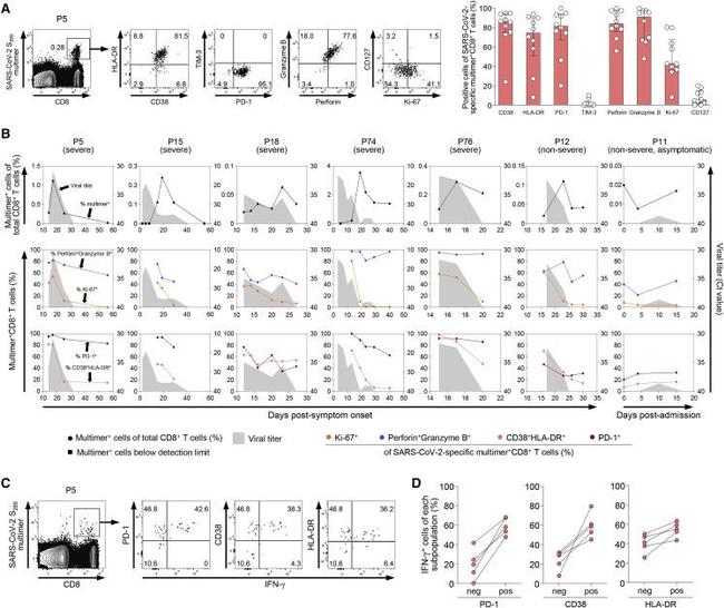 Perforin Antibody in Flow Cytometry (Flow)