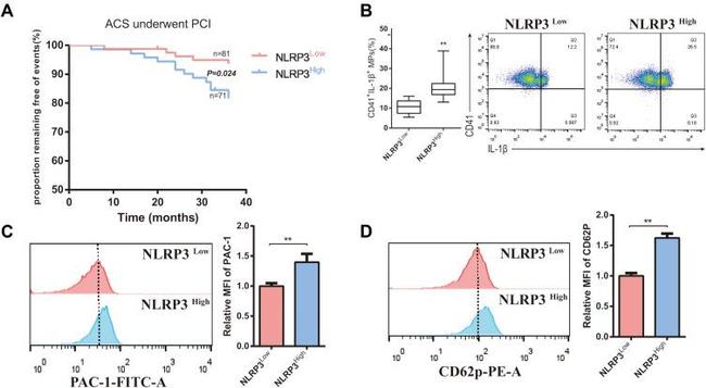 DUSP2 Antibody in Flow Cytometry (Flow)