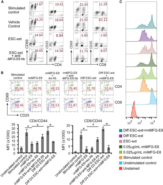 CD69 Antibody in Flow Cytometry (Flow)