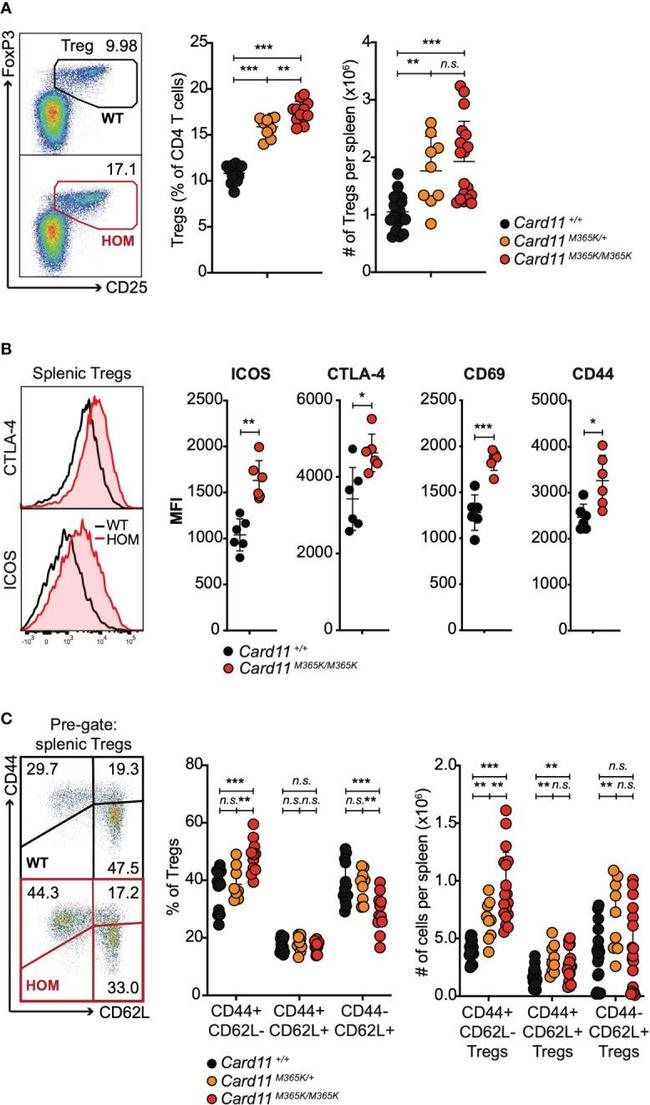 CD152 (CTLA-4) Antibody in Flow Cytometry (Flow)