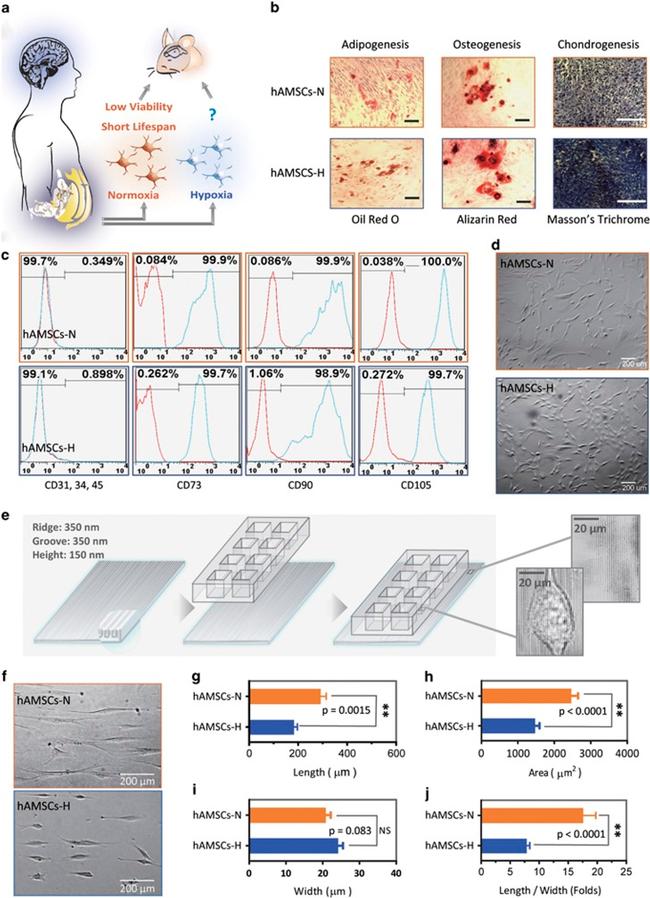 CD45 Antibody in Flow Cytometry (Flow)