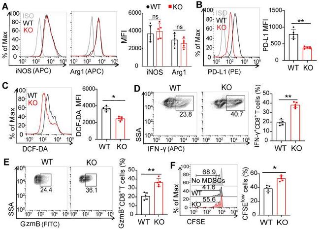 iNOS Antibody in Flow Cytometry (Flow)