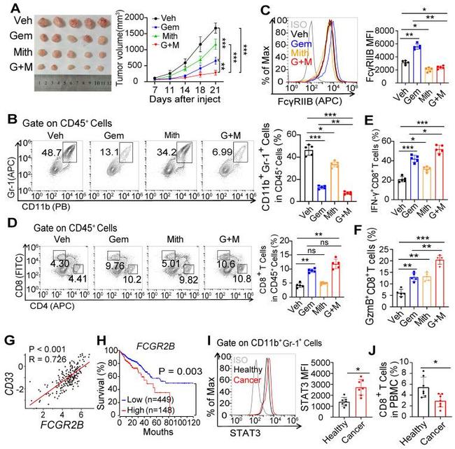 FCGR2B Antibody in Flow Cytometry (Flow)