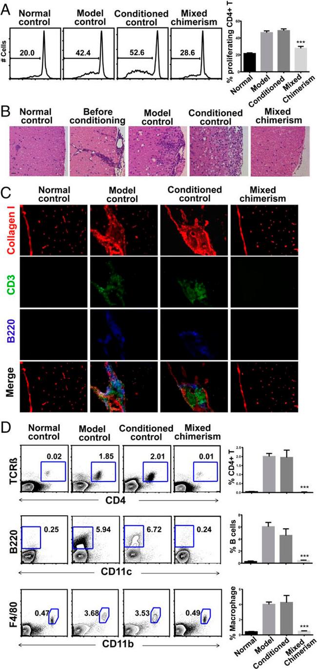 CD8a Antibody in Flow Cytometry (Flow)