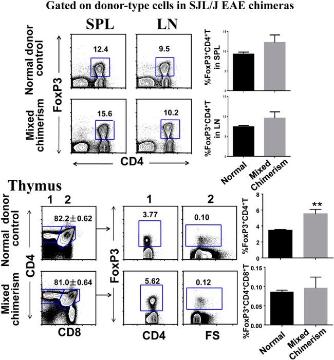 CD8a Antibody in Flow Cytometry (Flow)