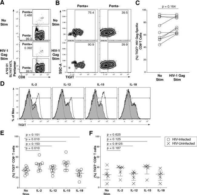 TIGIT Antibody in Flow Cytometry (Flow)