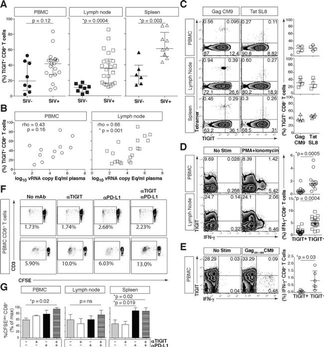 TIGIT Antibody in Flow Cytometry (Flow)