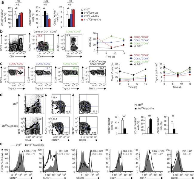 CD25 Antibody in Flow Cytometry (Flow)