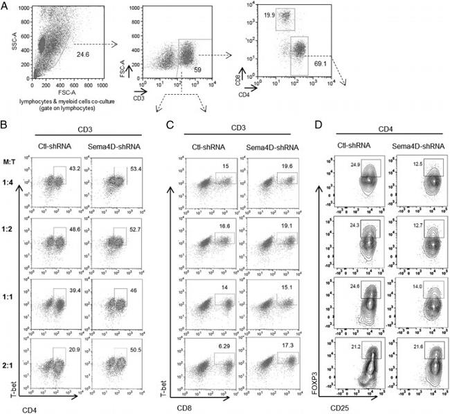 CD25 Antibody in Flow Cytometry (Flow)