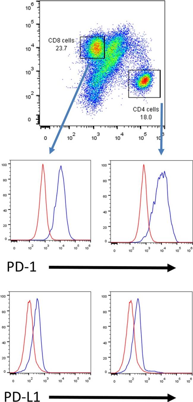 CD8a Antibody in Flow Cytometry (Flow)