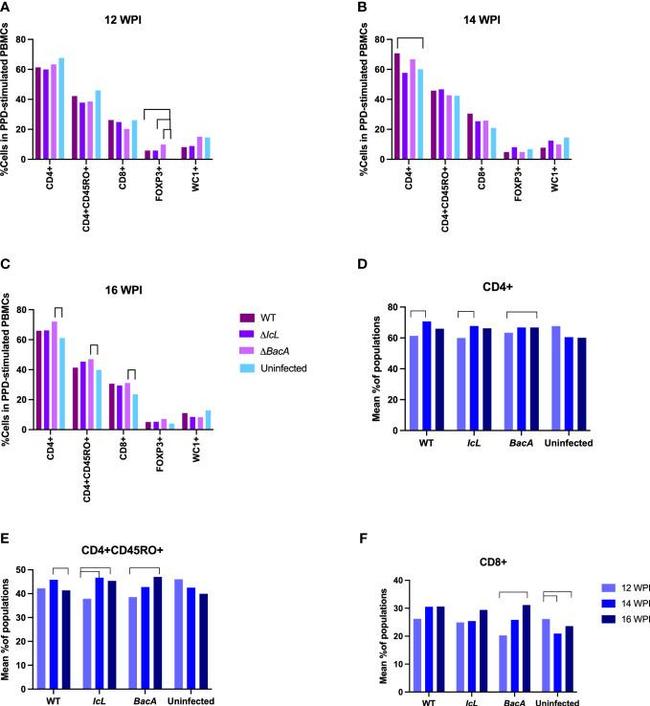 WC1 Antibody in Flow Cytometry (Flow)