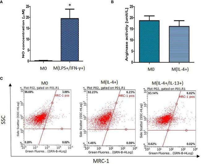 MRC1 Antibody in Flow Cytometry (Flow)