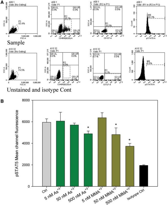 Phospho-STAT5 (Tyr694) Antibody in Flow Cytometry (Flow)