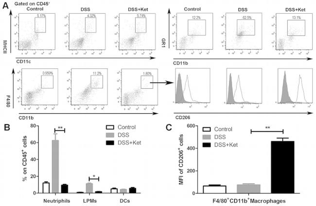 Ly-6G/Ly-6C Antibody in Flow Cytometry (Flow)