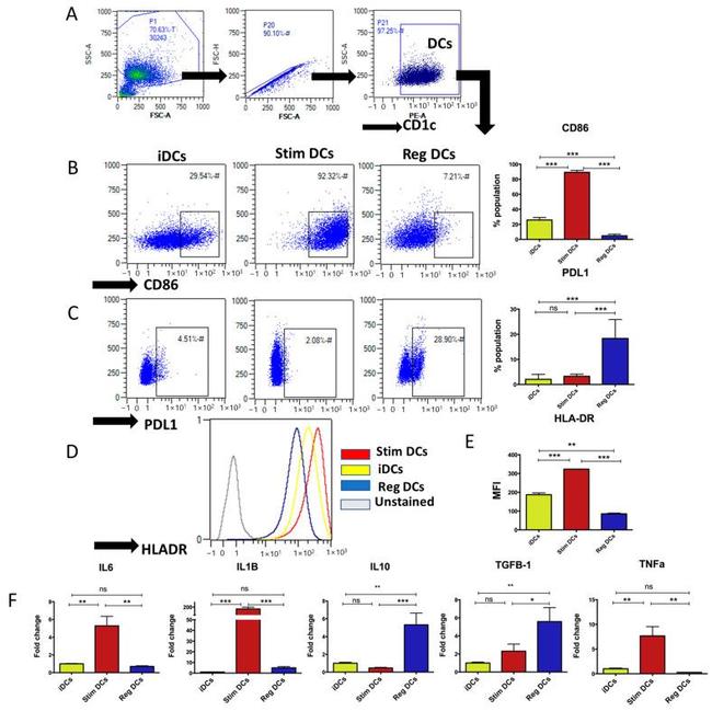 CD86 (B7-2) Antibody in Flow Cytometry (Flow)