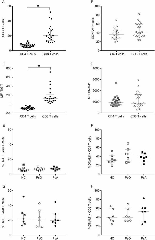 CD4 Antibody in Flow Cytometry (Flow)