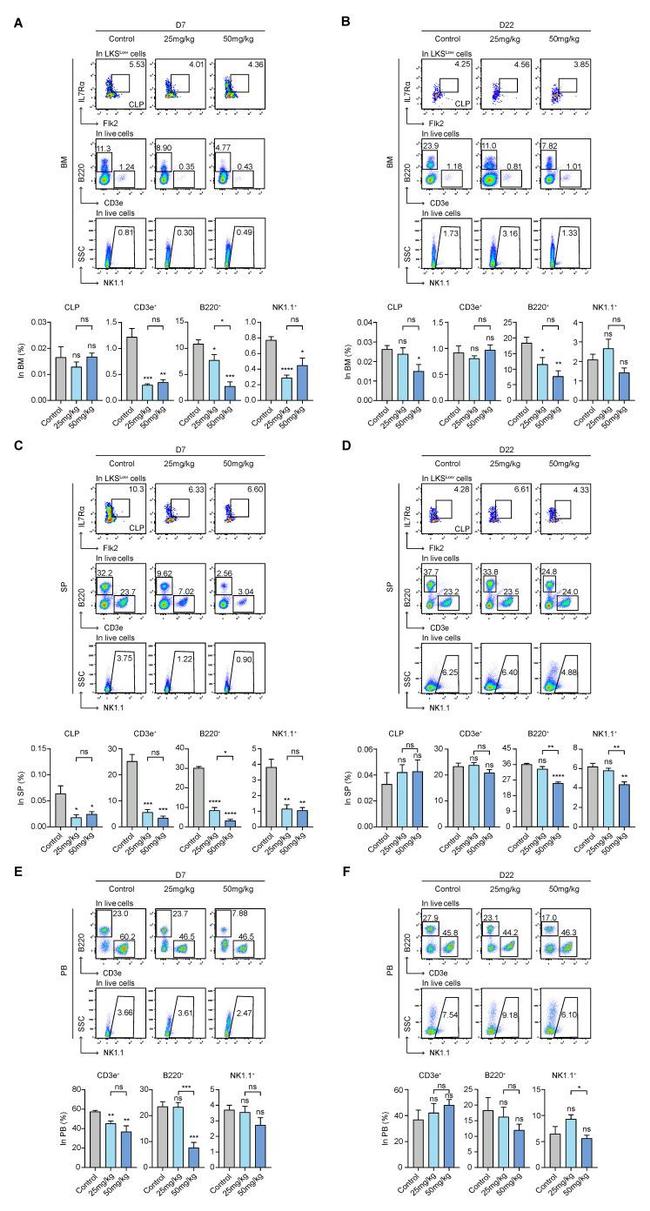 NK1.1 Antibody in Flow Cytometry (Flow)