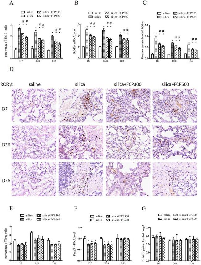 IL-17A Antibody in Flow Cytometry (Flow)