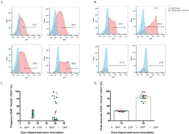 CD31 (PECAM-1) Antibody in Flow Cytometry (Flow)