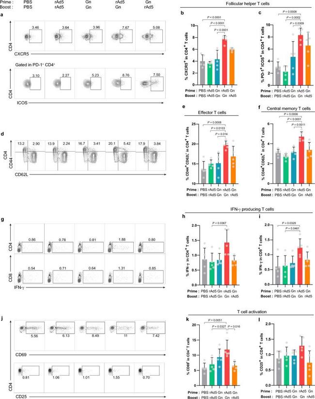 CD25 Antibody in Flow Cytometry (Flow)