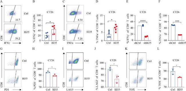 TNF alpha Antibody in Flow Cytometry (Flow)