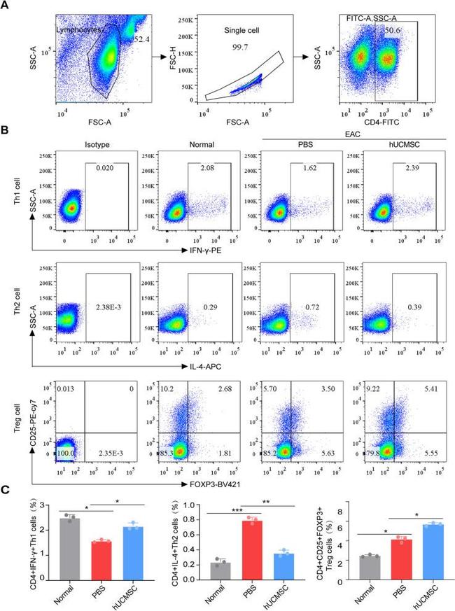 CD4 Antibody in Flow Cytometry (Flow)