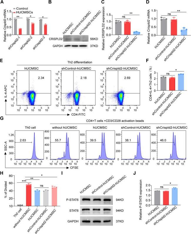 IL-4 Antibody in Flow Cytometry (Flow)