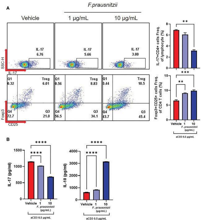 IL-17A Antibody in Flow Cytometry (Flow)