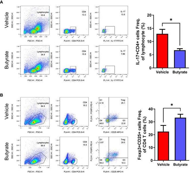 IL-17A Antibody in Flow Cytometry (Flow)