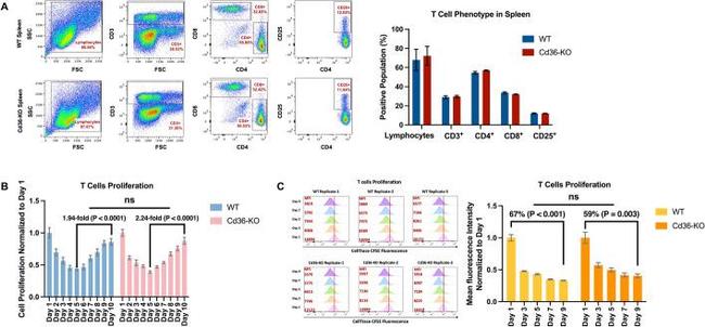 CD4 Antibody in Flow Cytometry (Flow)