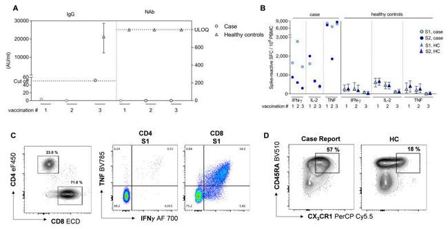 CD4 Antibody in Flow Cytometry (Flow)