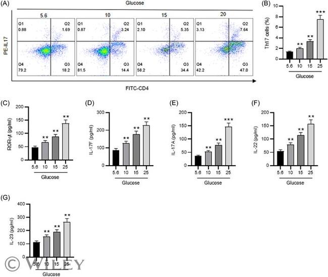 IL-17A Antibody in Flow Cytometry (Flow)