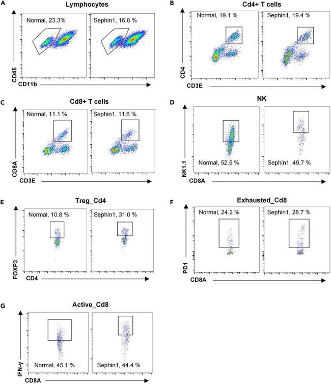 NK1.1 Antibody in Flow Cytometry (Flow)