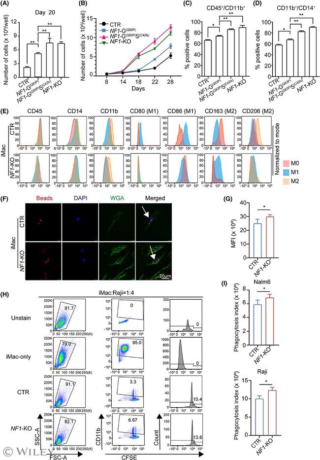 CD86 (B7-2) Antibody in Flow Cytometry (Flow)