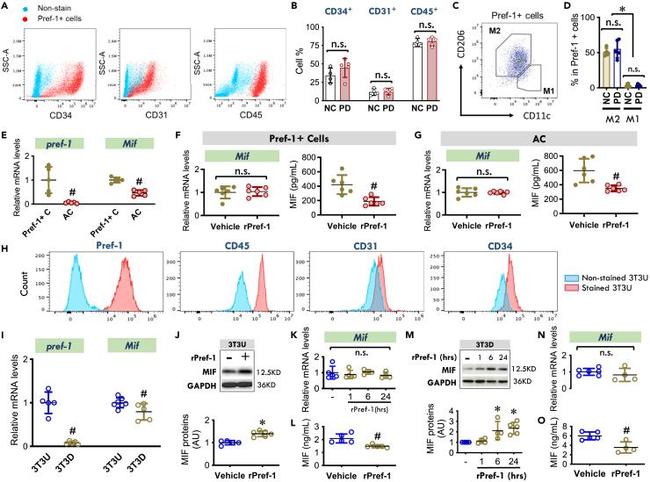 CD34 Antibody in Flow Cytometry (Flow)